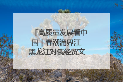 高质量发展看中国｜春潮涌界江 黑龙江对俄经贸文旅交流绿意盎然