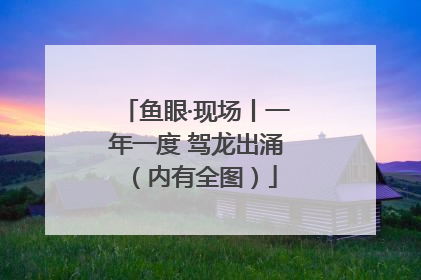 鱼眼·现场丨一年一度 驾龙出涌（内有全图）