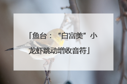 鱼台：“白富美”小龙虾跳动增收音符