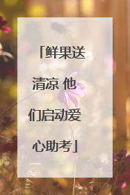 鲜果送清凉 他们启动爱心助考