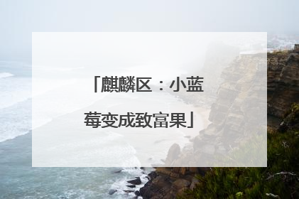 麒麟区：小蓝莓变成致富果