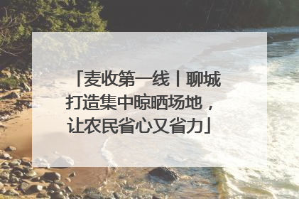 麦收第一线丨聊城打造集中晾晒场地，让农民省心又省力