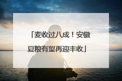 麦收过八成！安徽夏粮有望再迎丰收