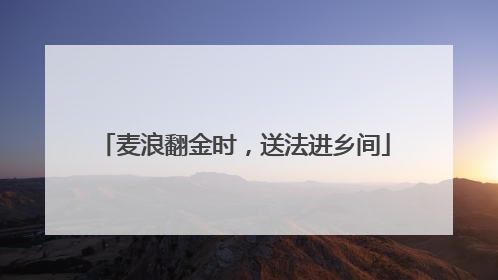 麦浪翻金时，送法进乡间