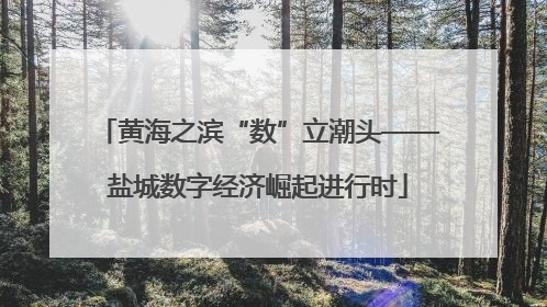 黄海之滨“数”立潮头——盐城数字经济崛起进行时