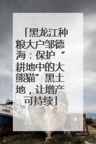 黑龙江种粮大户邹德海：保护“耕地中的大熊猫”黑土地，让增产可持续