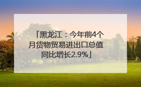 黑龙江：今年前4个月货物贸易进出口总值同比增长2.9%
