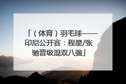 （体育）羽毛球——印尼公开赛：程星/张驰晋级混双八强