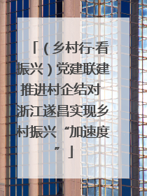 （乡村行·看振兴）党建联建推进村企结对 浙江遂昌实现乡村振兴“加速度”