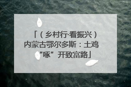 （乡村行·看振兴）内蒙古鄂尔多斯：土鸡“啄”开致富路