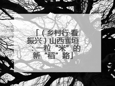 （乡村行·看振兴）山西襄垣：一粒“米”的新“稻”路