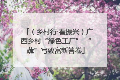 （乡村行·看振兴）广西乡村“绿色工厂” “蔬”写致富新答卷