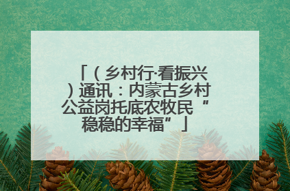 （乡村行·看振兴）通讯：内蒙古乡村公益岗托底农牧民“稳稳的幸福”