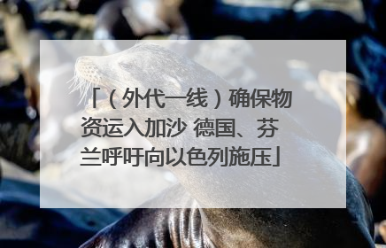 （外代一线）确保物资运入加沙 德国、芬兰呼吁向以色列施压