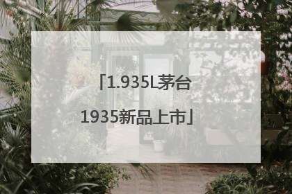 1.935L茅台1935新品上市