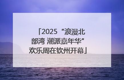 2025“浪漫北部湾 潮派嘉年华”欢乐周在钦州开幕