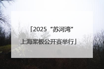 2025“苏河湾”上海桨板公开赛举行