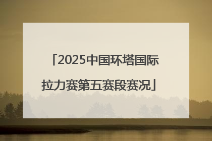 2025中国环塔国际拉力赛第五赛段赛况
