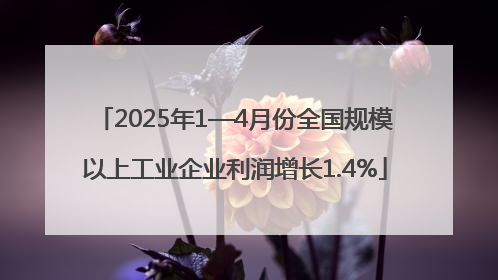 2025年1—4月份全国规模以上工业企业利润增长1.4%