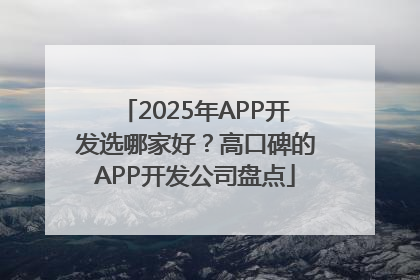 2025年APP开发选哪家好？高口碑的APP开发公司盘点