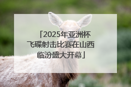 2025年亚洲杯飞碟射击比赛在山西临汾盛大开幕