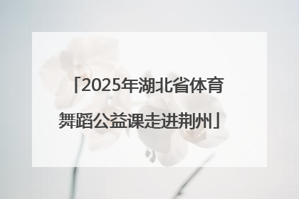 2025年湖北省体育舞蹈公益课走进荆州