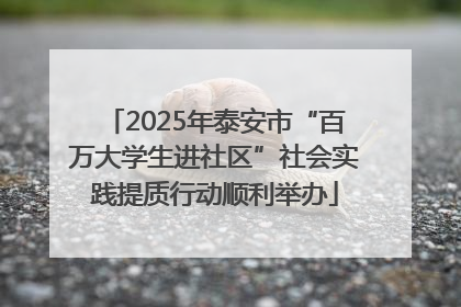 2025年泰安市“百万大学生进社区”社会实践提质行动顺利举办