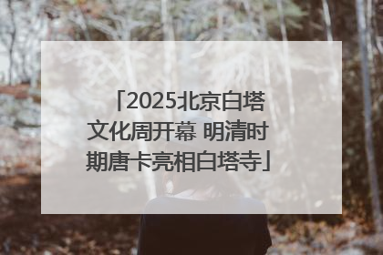 2025北京白塔文化周开幕 明清时期唐卡亮相白塔寺