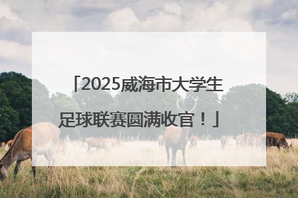 2025威海市大学生足球联赛圆满收官！