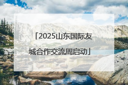 2025山东国际友城合作交流周启动