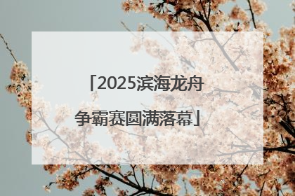 2025滨海龙舟争霸赛圆满落幕
