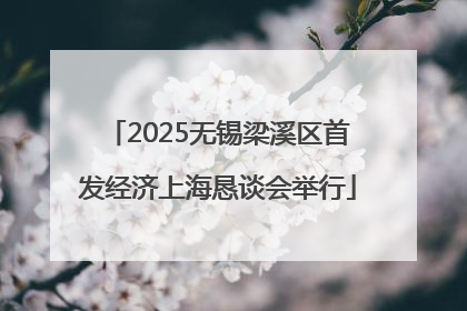 2025无锡梁溪区首发经济上海恳谈会举行