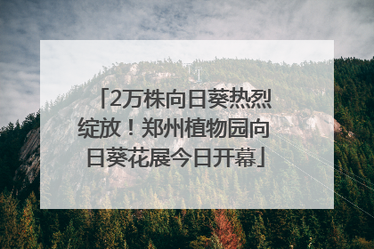 2万株向日葵热烈绽放！郑州植物园向日葵花展今日开幕