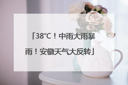 38℃！中雨大雨暴雨！安徽天气大反转