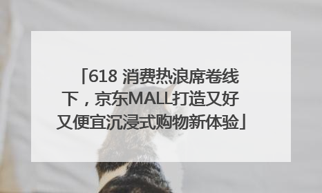 618 消费热浪席卷线下，京东MALL打造又好又便宜沉浸式购物新体验
