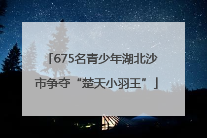 675名青少年湖北沙市争夺“楚天小羽王”
