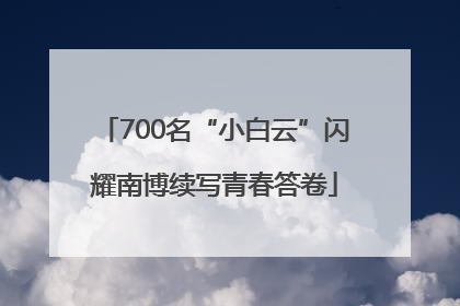 700名“小白云”闪耀南博续写青春答卷