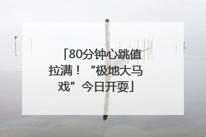 80分钟心跳值拉满！“极地大马戏”今日开耍