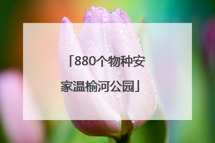 880个物种安家温榆河公园