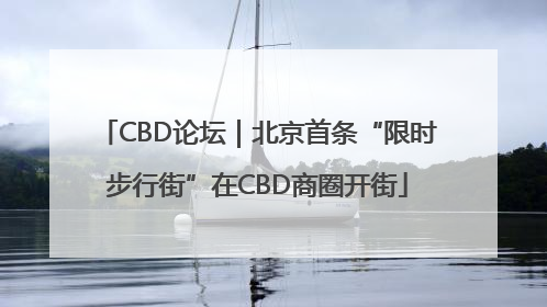 CBD论坛｜北京首条“限时步行街”在CBD商圈开街