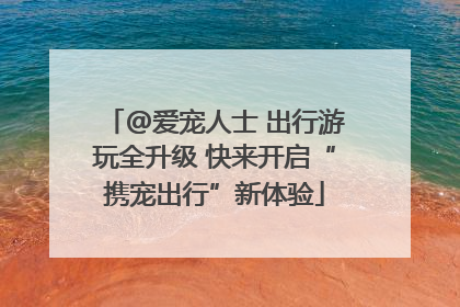 @爱宠人士 出行游玩全升级 快来开启“携宠出行”新体验
