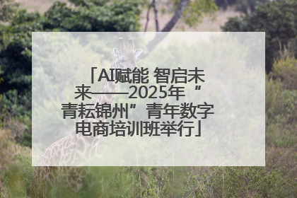 AI赋能 智启未来——2025年“青耘锦州”青年数字电商培训班举行