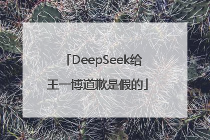 DeepSeek给王一博道歉是假的