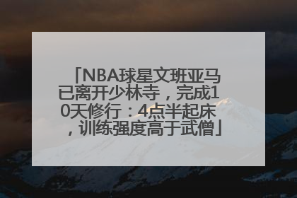NBA球星文班亚马已离开少林寺，完成10天修行：4点半起床，训练强度高于武僧