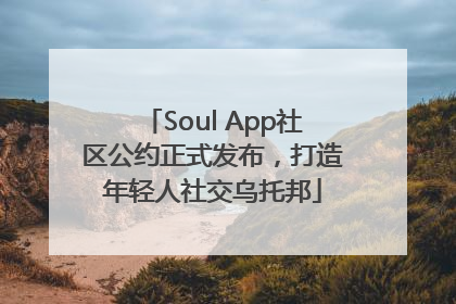 Soul App社区公约正式发布，打造年轻人社交乌托邦